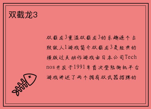 双截龙3